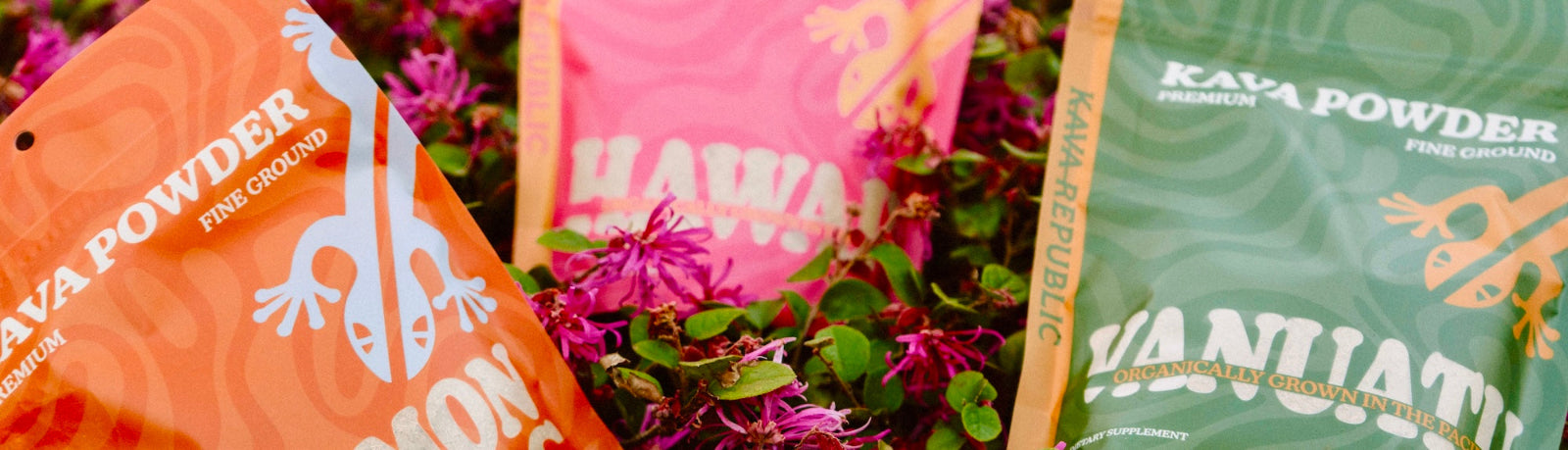 Kava Powder Header